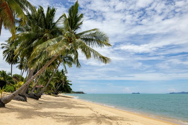 Mobil-home à Argelès-sur-Mer : détente et plaisir au soleil